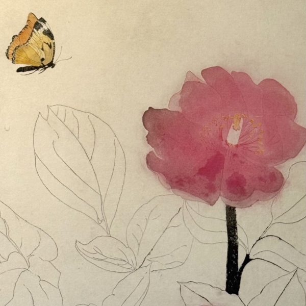Paeony-with-Painted-Lady
