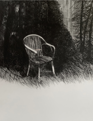 Graphic Studio Dublin • Marie-Louise Martin: Hidden In Plain Sight XIII