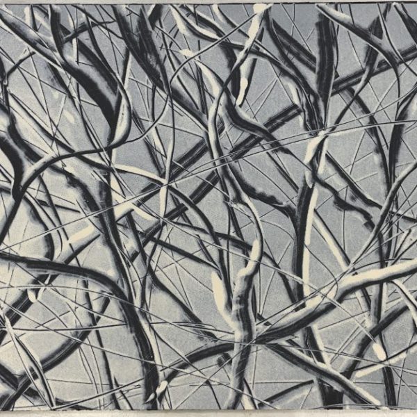 snow branches cropped