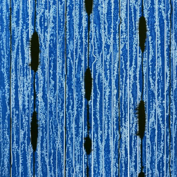 Mark Francis, Field 5 (Framed)