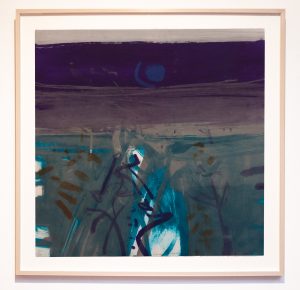 Graphic Studio Dublin • Barbara Rae: Vaucluse Night (Framed)