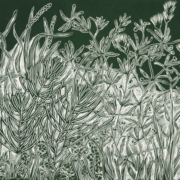 burcudunbarvenner-feralhabitats-linocut-print-dublin-gallery.