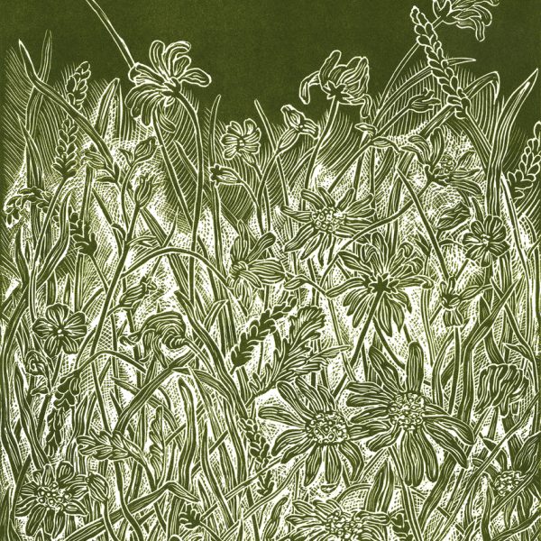 burcudunbarvenner-wildgarden-linocut-print-dublin-gallery
