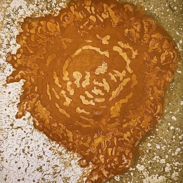 ellasexton-sunflowerseedgermination-etching-print-dublin-gallery