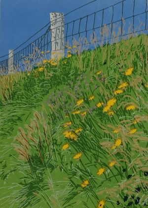 Graphic Studio Dublin • Paul Fitters: paulfitters-asummershow-screenprint-print-dublin-gallery