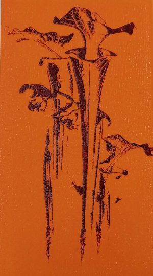 Graphic Studio Dublin • Paul Fitters: paulfitters-flycatcher-screenprint-print-dublin-gallery