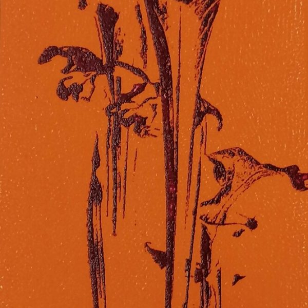 paulfitters-flycatcher-screenprint-print-dublin-gallery