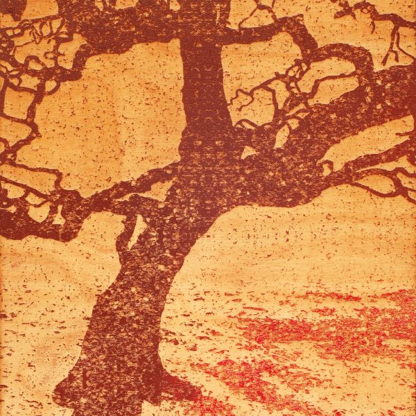 CONOR-GALLAGHER-Cork-Tree-Botanic-Gardens.jpg