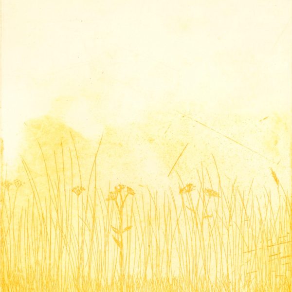 Cora Cummens-Park Verge