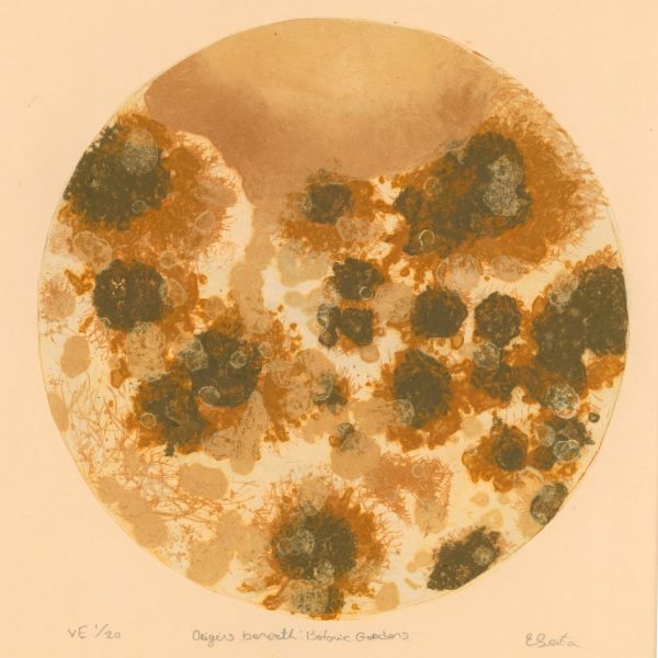 Ella Sexton-Origins beneath-Botanic Gardens