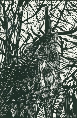 Graphic Studio Dublin • Joe Ryan: Joe Ryan-Stag amongst Undergrowth