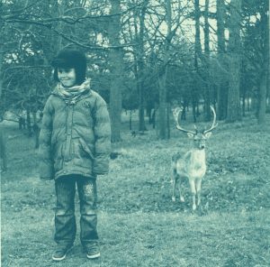 Graphic Studio Dublin • Margaret Tuffy: Margaret Tuffy-Close Encounter in Phoenix Park