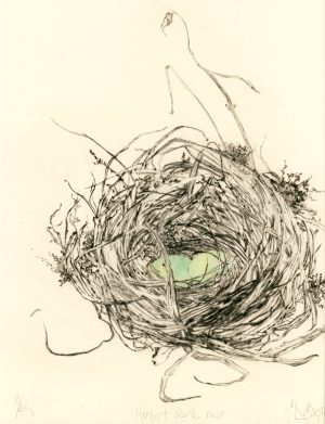 Graphic Studio Dublin • Marie-Louise Martin: Marie-LouiseMartin-Herberty Park Nest