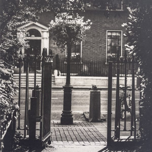 Matthew Gammon, Short Cut - Stephen's Green