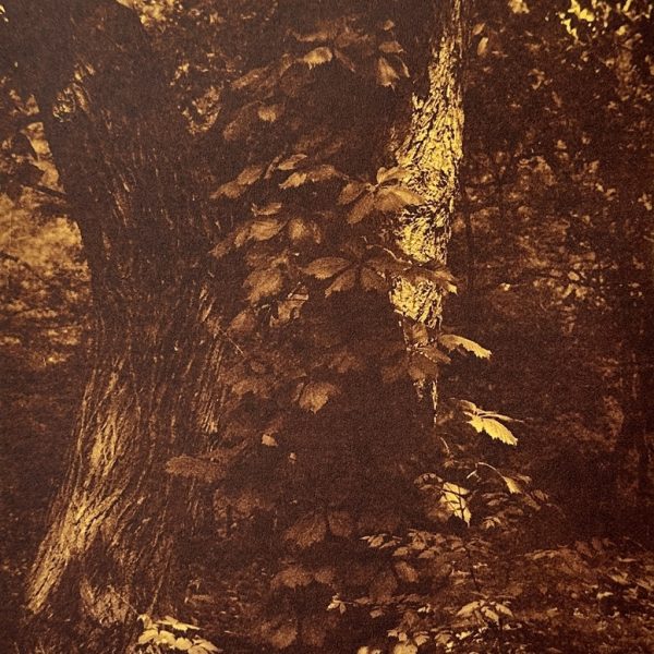Nancy-Previs-Iveagh-Gardens-Hideaway.jpg