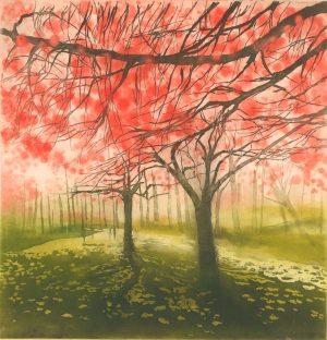 Graphic Studio Dublin • Noelle O'Keeffe: Noelle O'Keeffe-Harbinger of Spring,Herbert Park