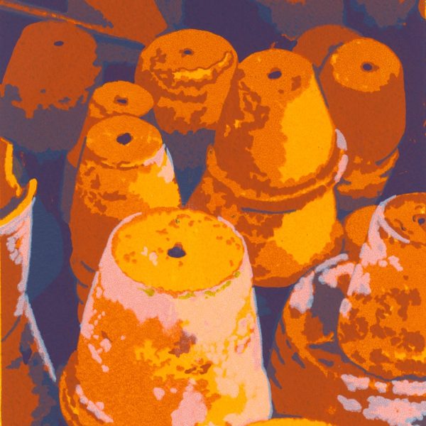 Paul Fitters-Pots in the Bots