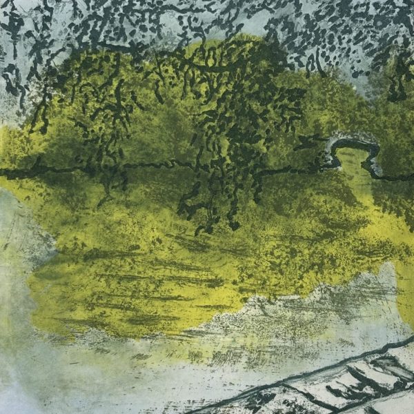 Paula Fitzpatrick_oconnellbridge,ststephensgreen