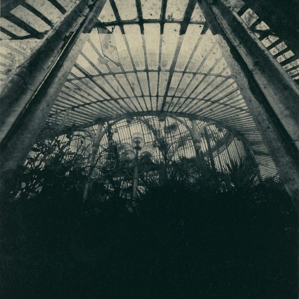 Ria Czerniak LeBov-On Reflection