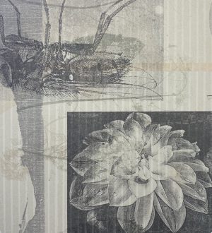 Graphic Studio Dublin • Sharon Lee: Graphic Studio Dublin: Parklife Graphic Studio Dublin • Sharon Lee: Parklife