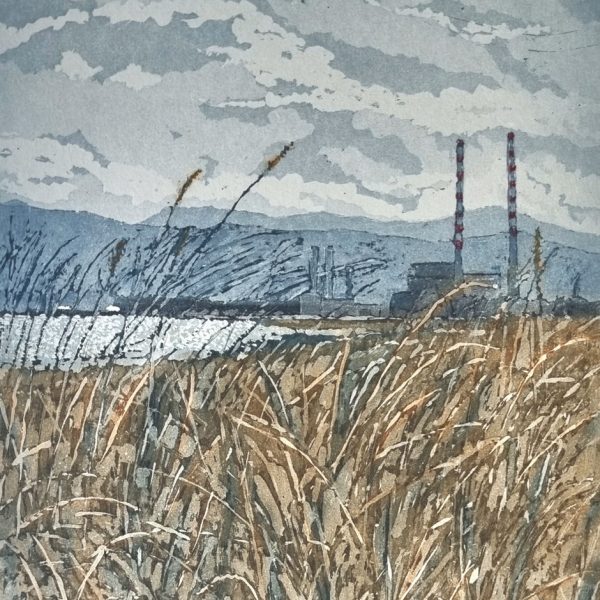SUSAN-EARLY-Dublin-Port-from-Bull-Island.jpg