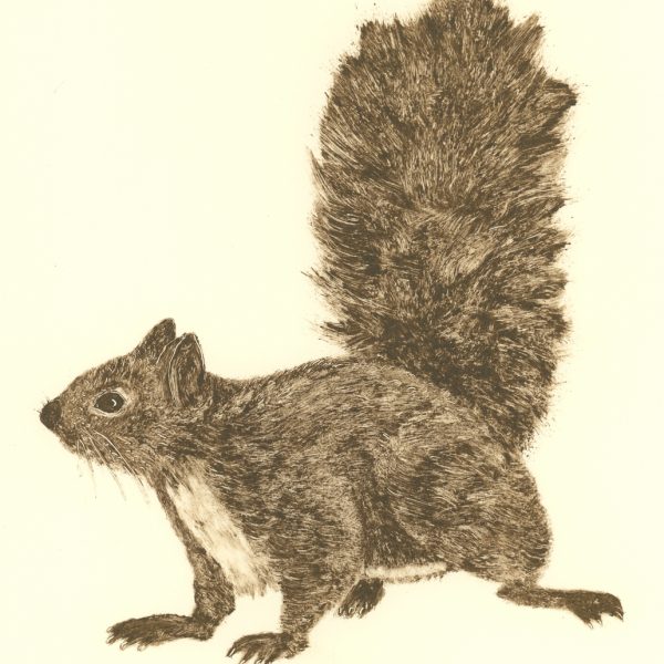 renate debrun -lookout, phoenix park