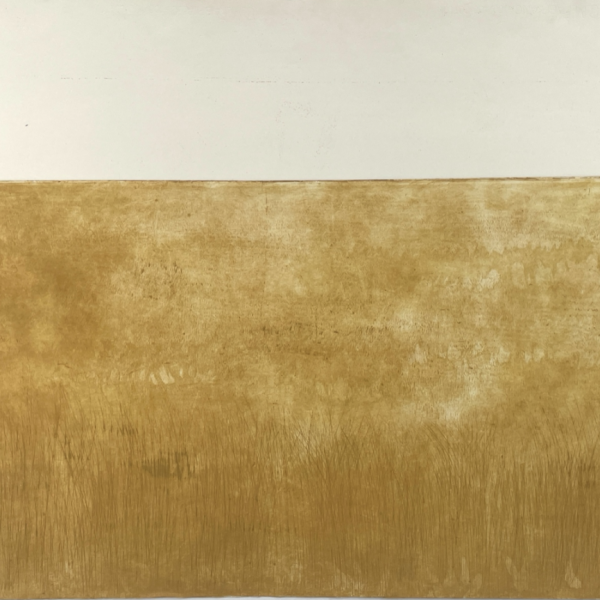 CoraCummins-GoldField-etching-70x99cm