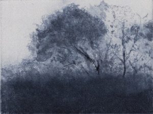 Graphic Studio Dublin • Michele Hetherington: Silver & Fog