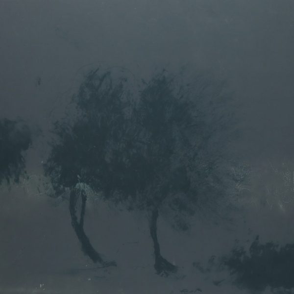 Hawthornes (The Night In Over)