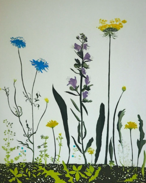 Graphic Studio Dublin • Cliona Doyle: Tuscan Hedgerow