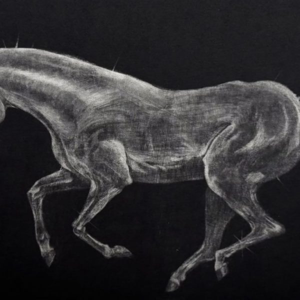 Anna Pickard, Psychopomp