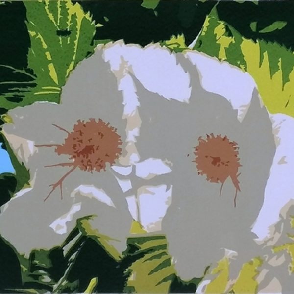 Look up to the sky! (Davidia & fly)