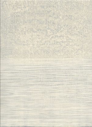 Graphic Studio Dublin • Ann Kavanagh: Flows