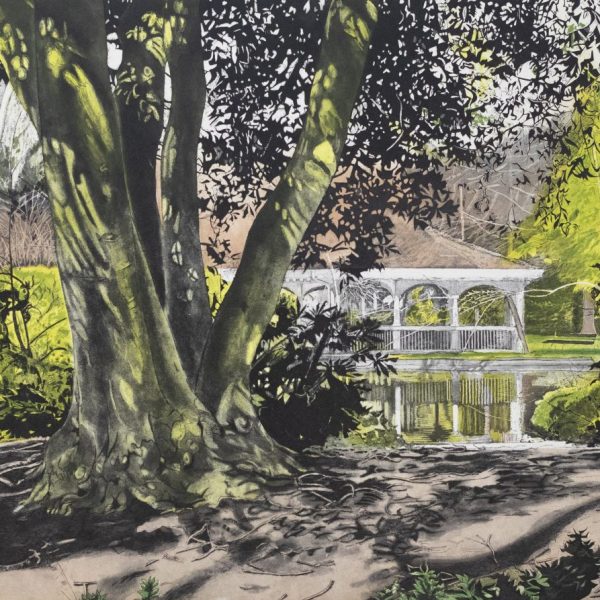 Louise Leonard, We're off to Dublin in the green