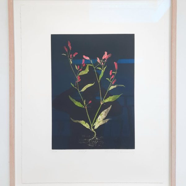 Cusp (Framed)