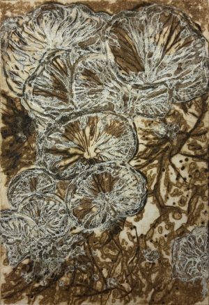 Graphic Studio Dublin • Ella Sexton: Soft Decay, Quiet Growth