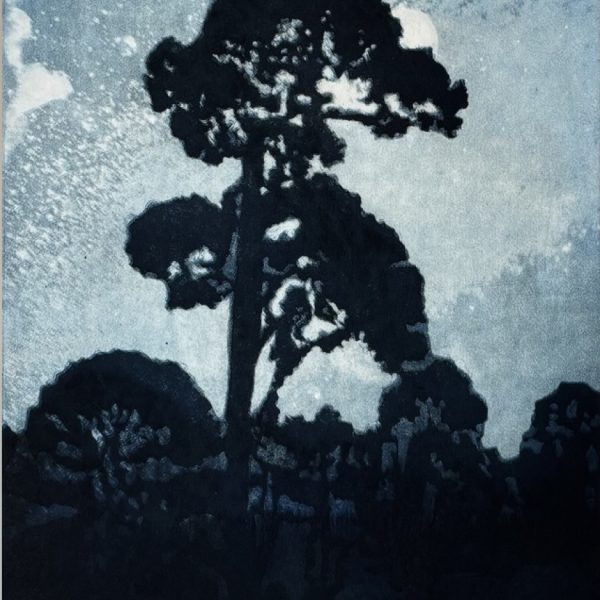 Twomey Clare, Celestial Tree