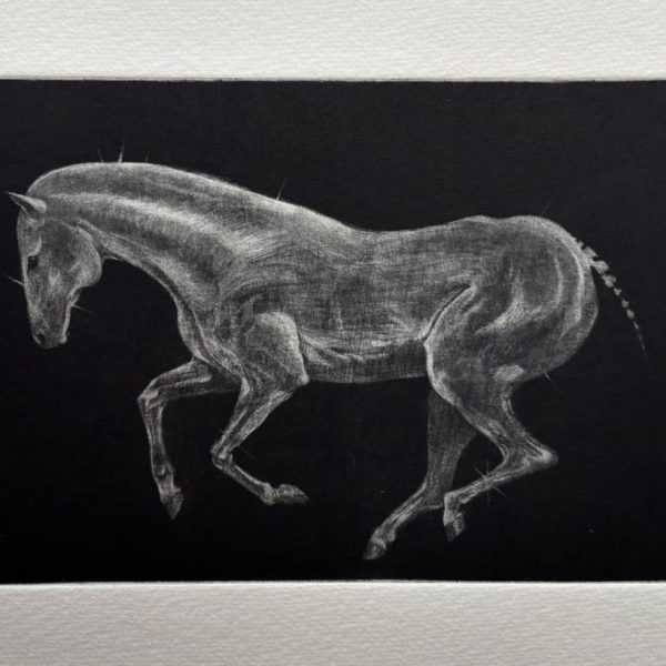 Anna Pickard, Psychopomp