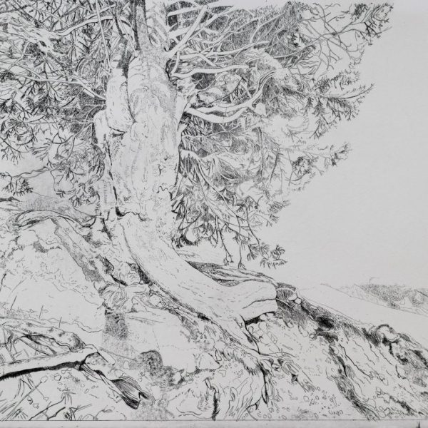 Louise Leonard_Hold fast (stage 1)