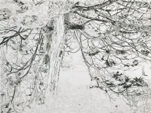 Graphic Studio Dublin • Louise Leonard: be still my soul