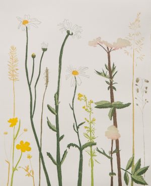 Graphic Studio Dublin • Cliona Doyle: Meadow Sweet
