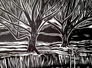 Graphic Studio Dublin • Adrienne Symes: Arboreal Floating Shadows