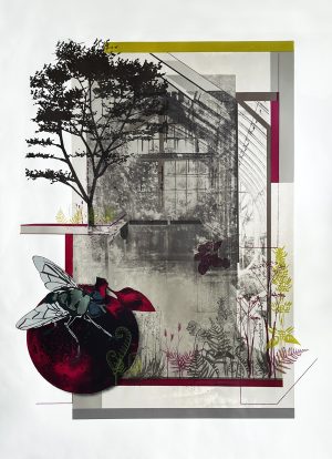 Graphic Studio Dublin • Sinead McGuinness (MC&RO): The Ripening (Framed only)