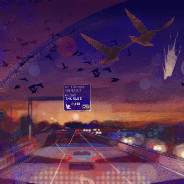 Driving to the West, niall naessens