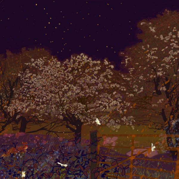 Maytrees and the Plough, Niall Naessens