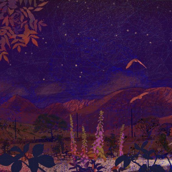 Foxgloves and Brandon Ridge, Niall Naessens