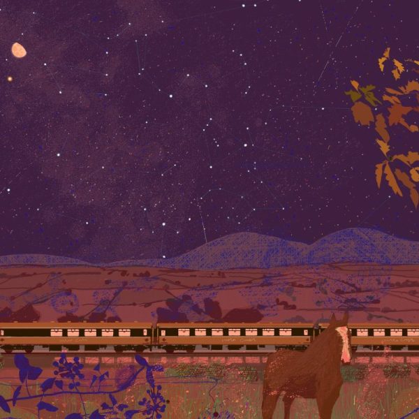 Passenger Train and the Paps of Anu, Niall Naessens
