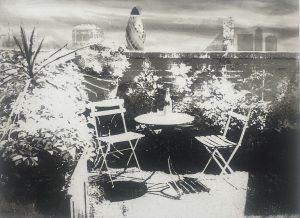 Graphic Studio Dublin • Normand Ackroyd: The Garden at Morocco Street