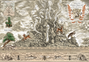 Graphic Studio Dublin • Murray Robertson: Last Caledonian Volcano